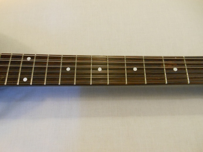 Teardrop Hollow Body 12 String Picture 5
